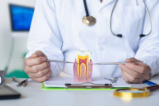 Best Root Canal Emergency Dentist  in Sleepy Hollow, IL